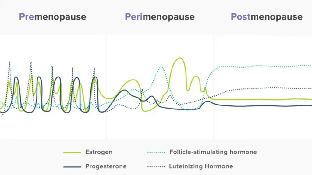 hormone-fluctuations